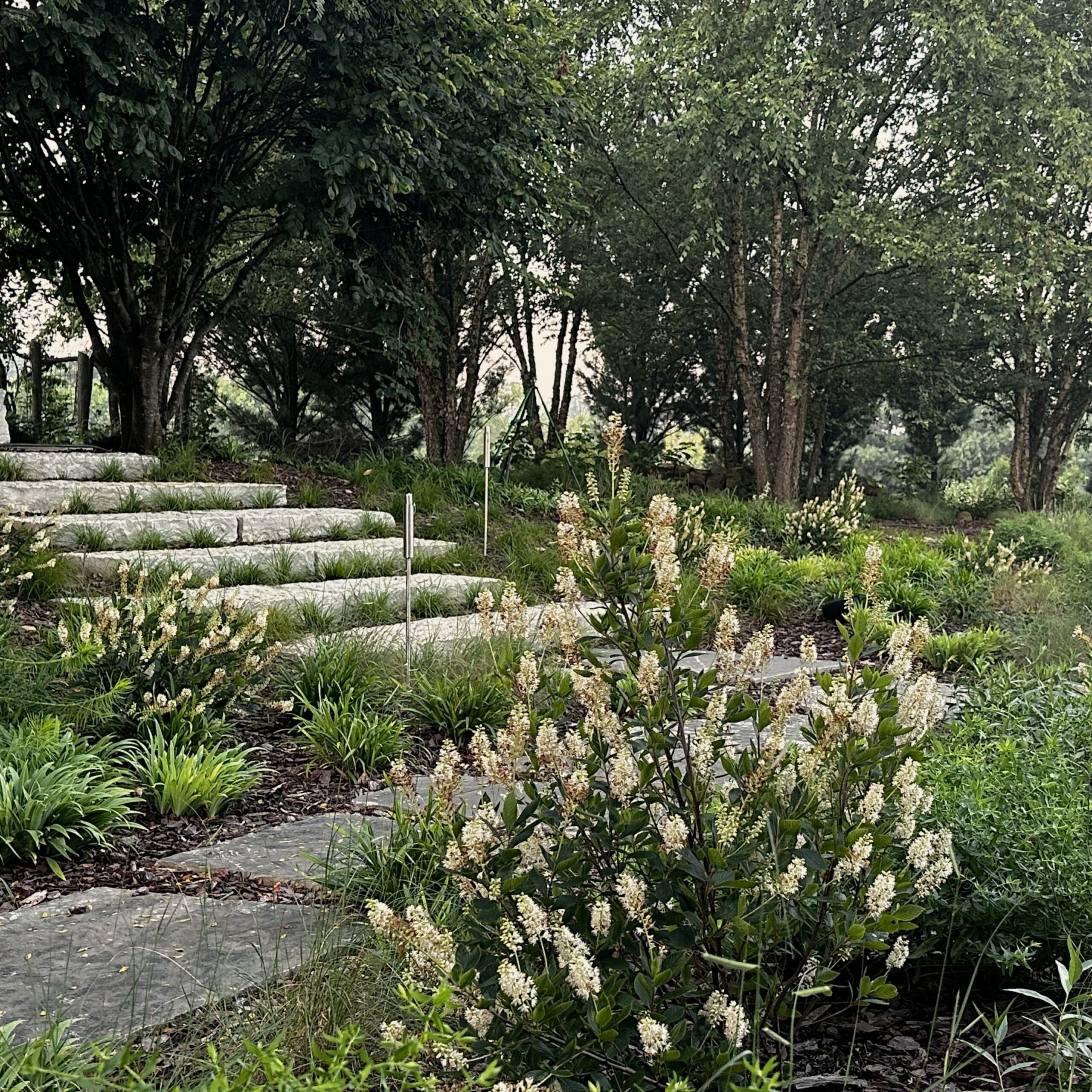 Landscape Installation