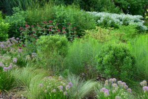 Frankfort, Kentucky Sustainable Landscaping Services