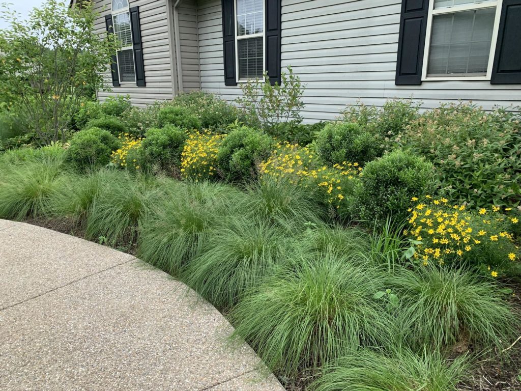 Frankfort, Kentucky Sustainable Landscaping Services