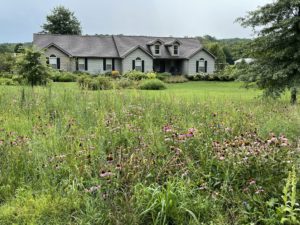 Frankfort, KY Landscape Pricing Guide