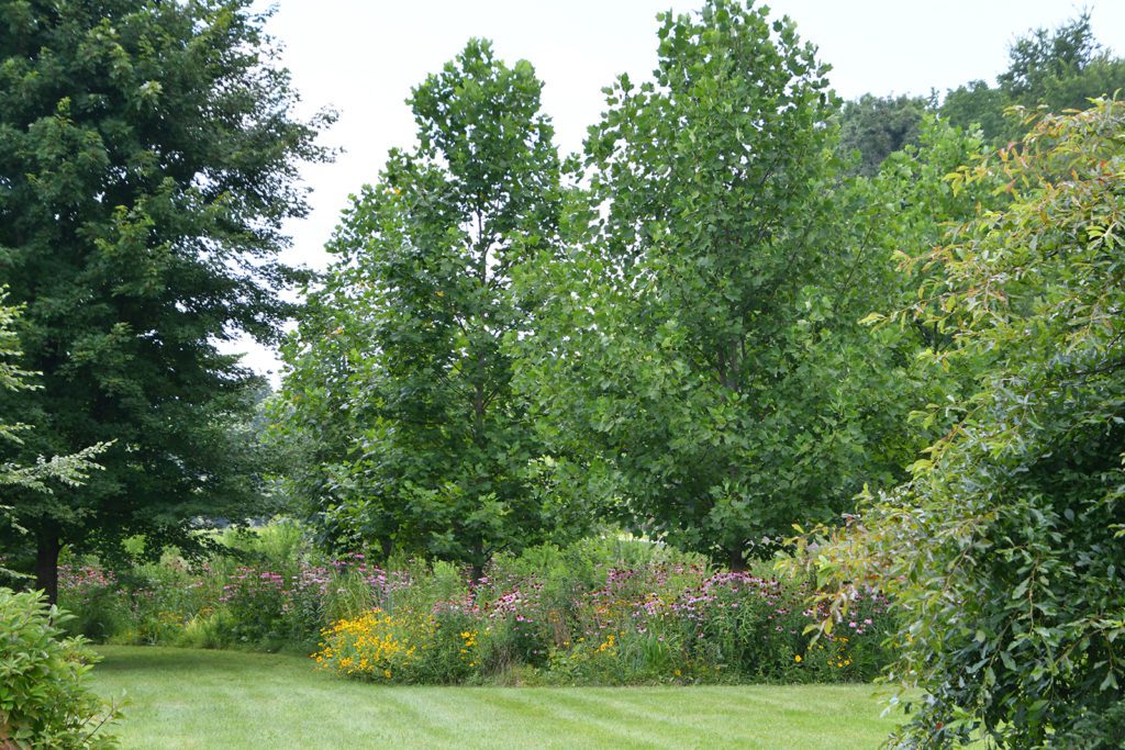 Lexington, Kentucky Landscaping Services